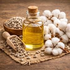 Cotton Seed Oil