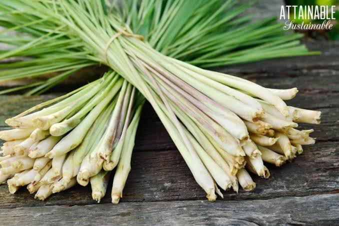 Lemongrass
