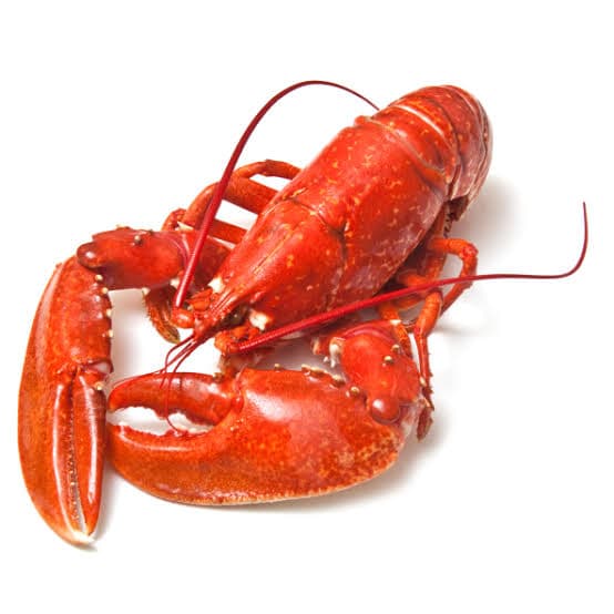 Crustaceanns Fish