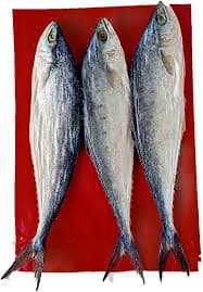 Queen Dry Fish