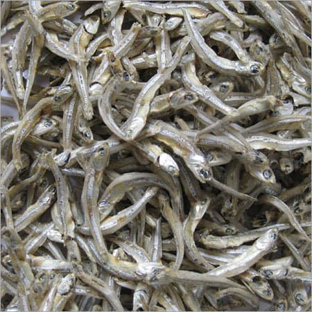 Anchovy (Stolephorus) Dry Fish