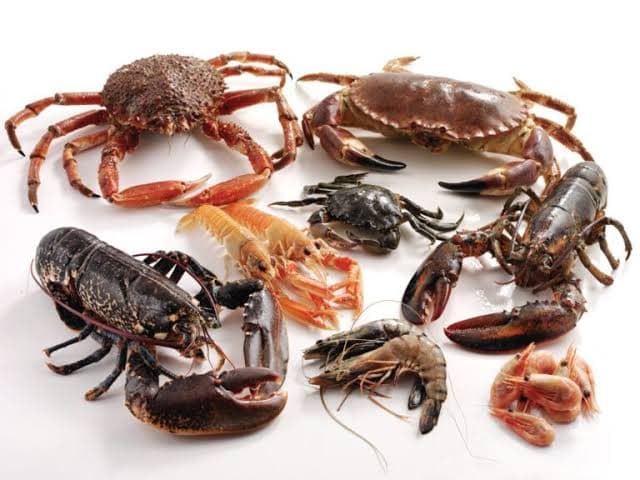 Crustaceanns Fish