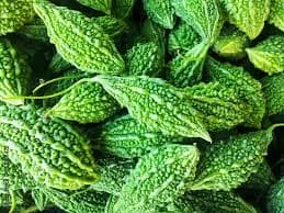 Bitter gourd