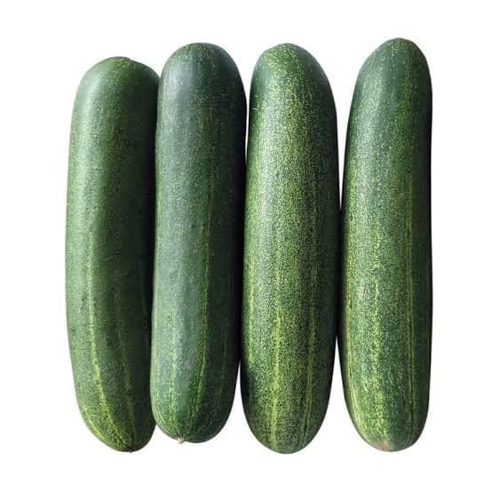 Cucumber