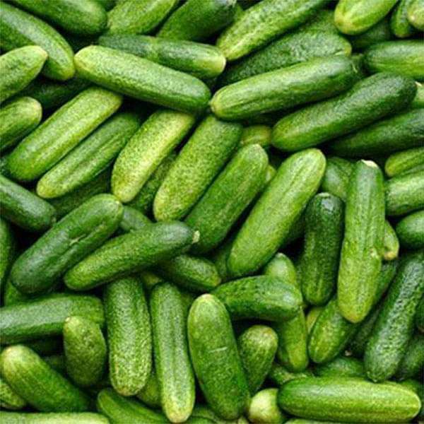 Gherkins