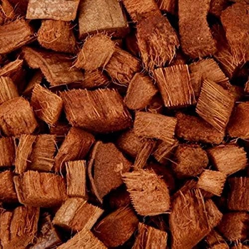 Coco Chips