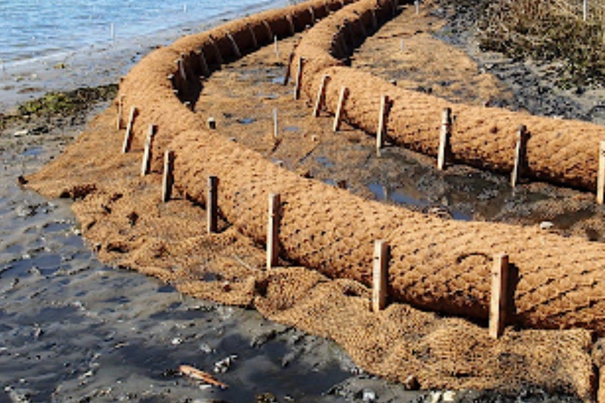 Coco Logs