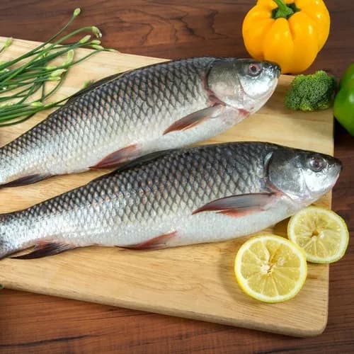 Rohu Fish