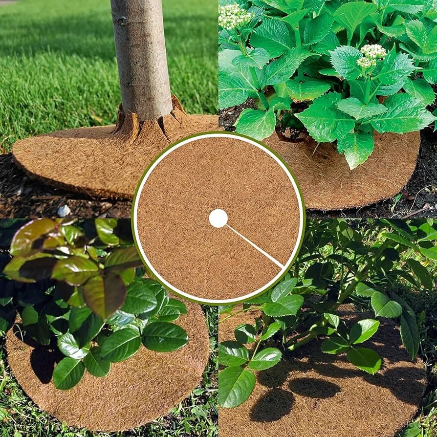 Coirfiber Disks (Tree Cover)