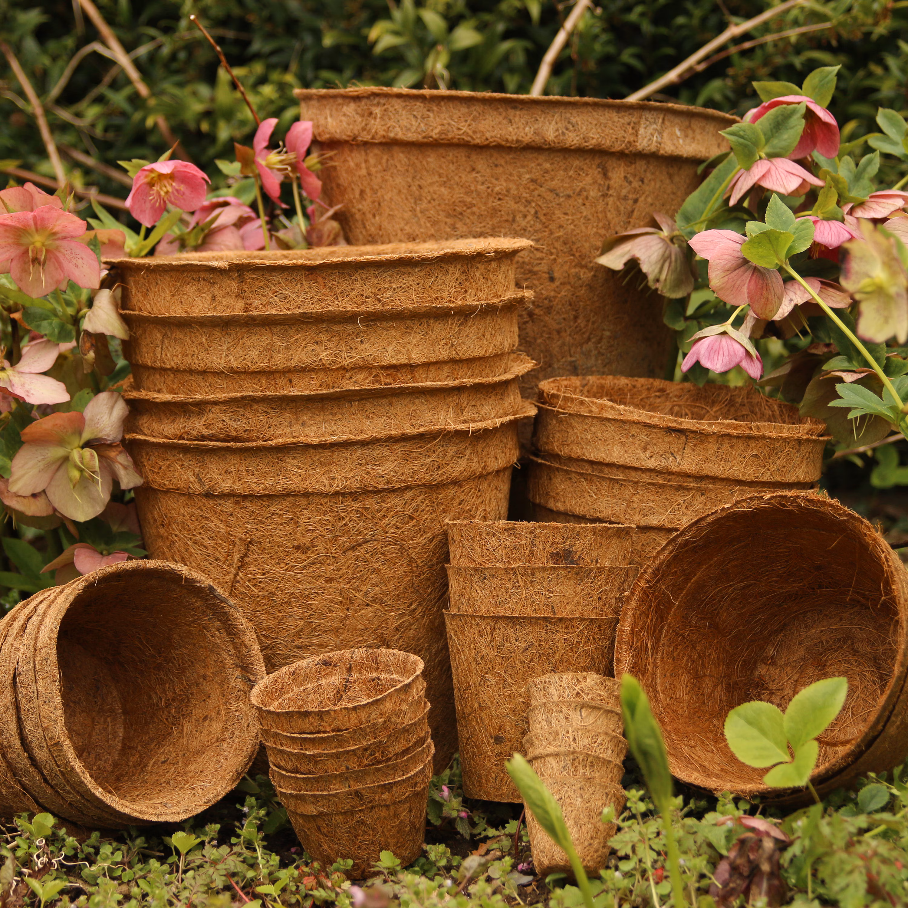Coco Pots