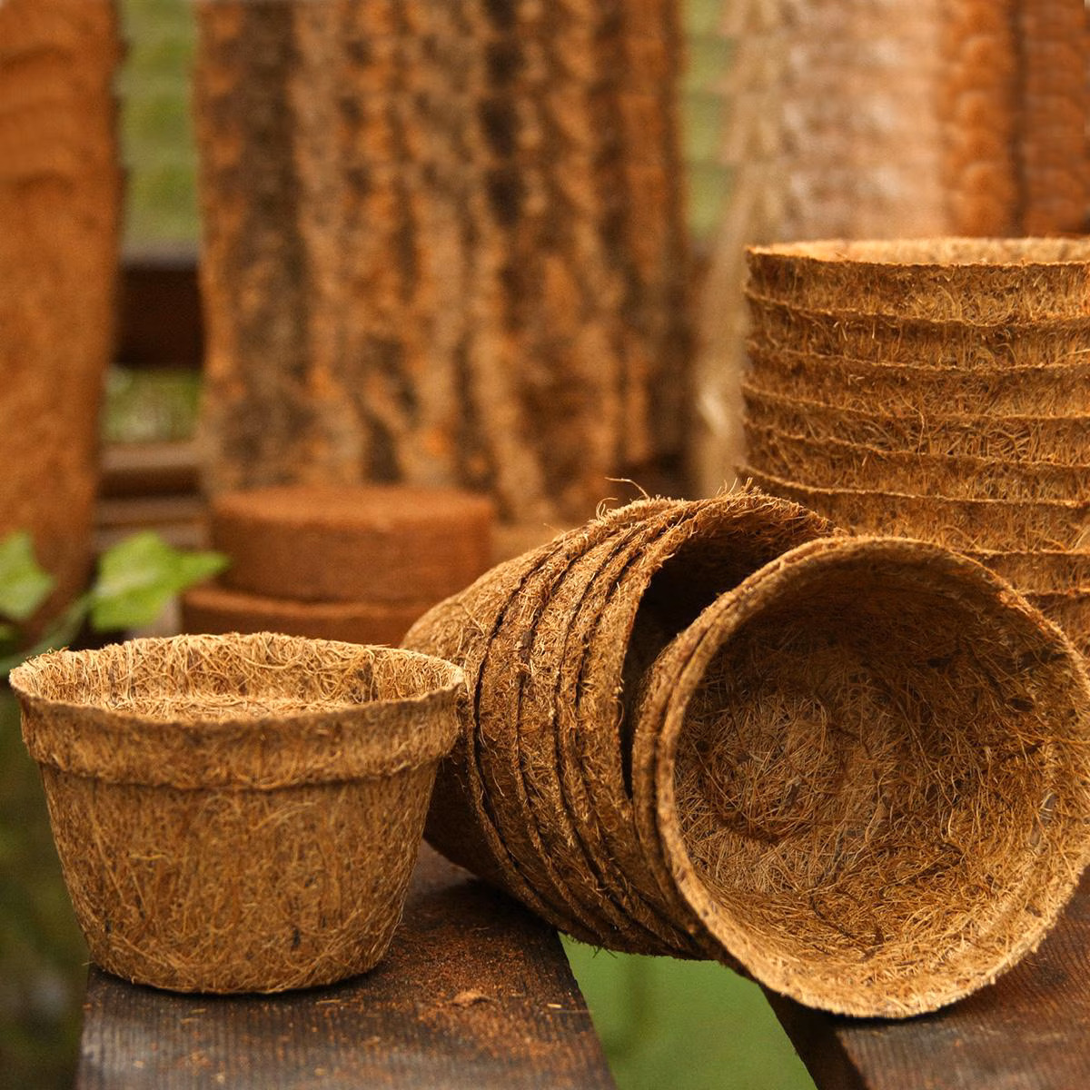 Coir Baskets