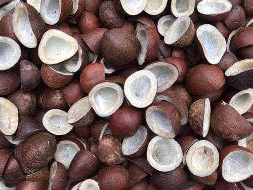 Dry Coconut