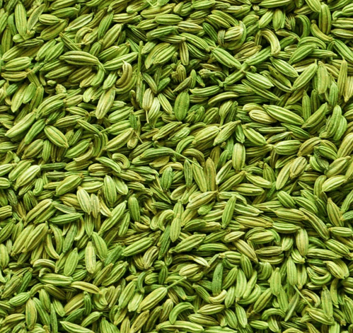 Fennel