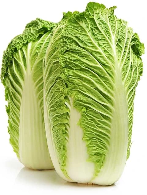 Chinese cabbage
