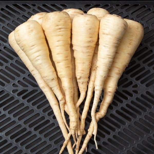 Parsnip