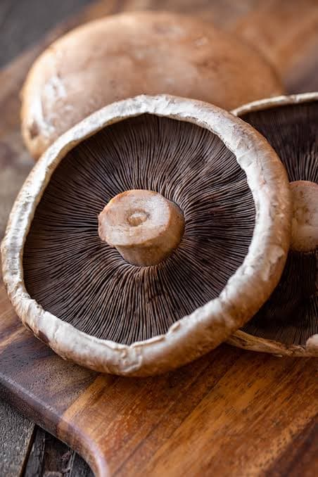 Portobello mushroom