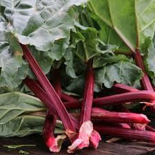 Rhubarb