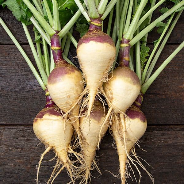 Rutabaga