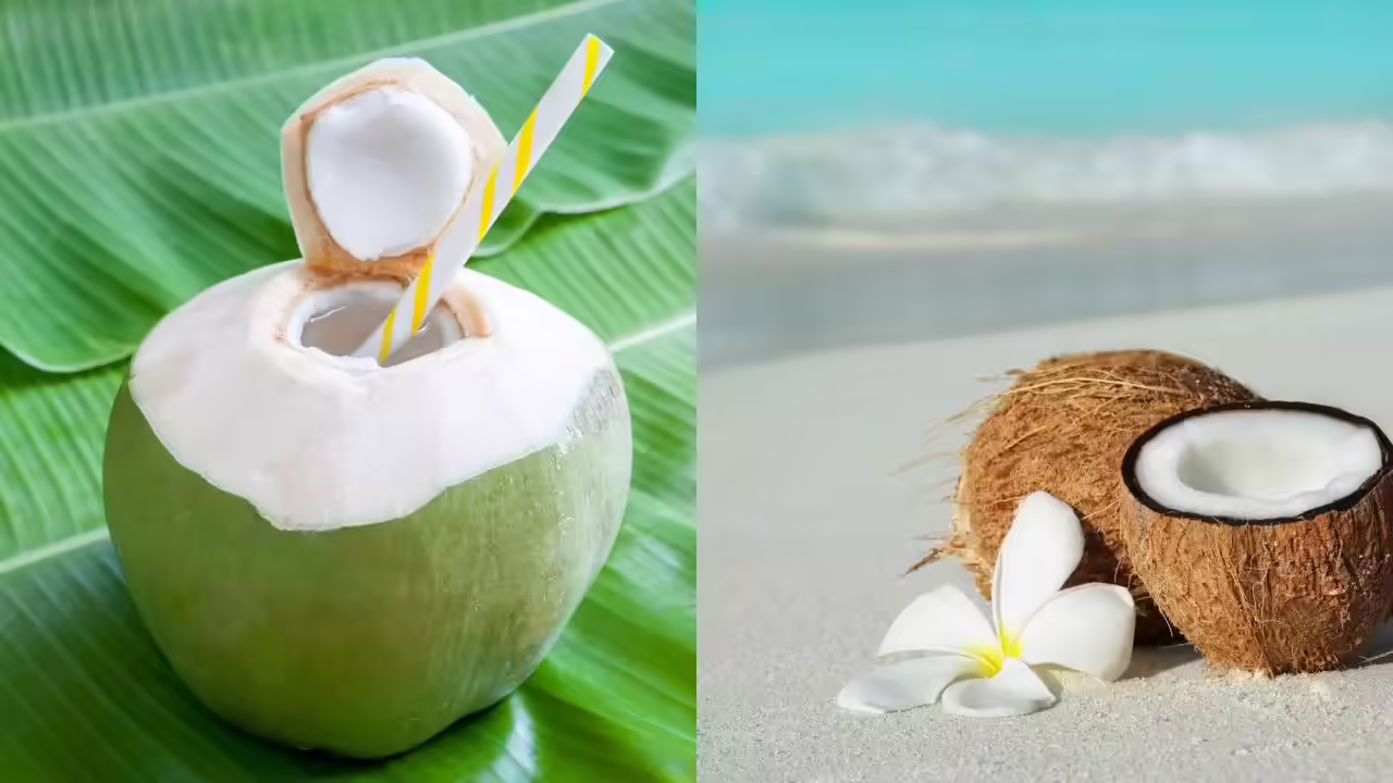 Coconut