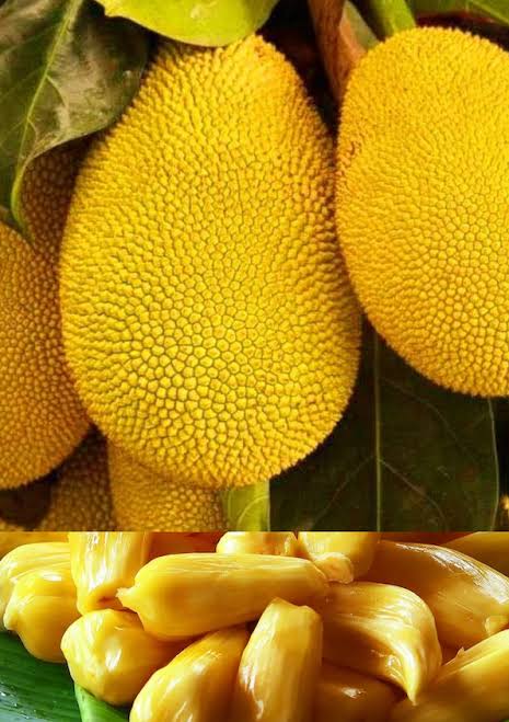 Jackfruit