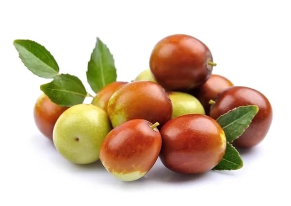 Jujube