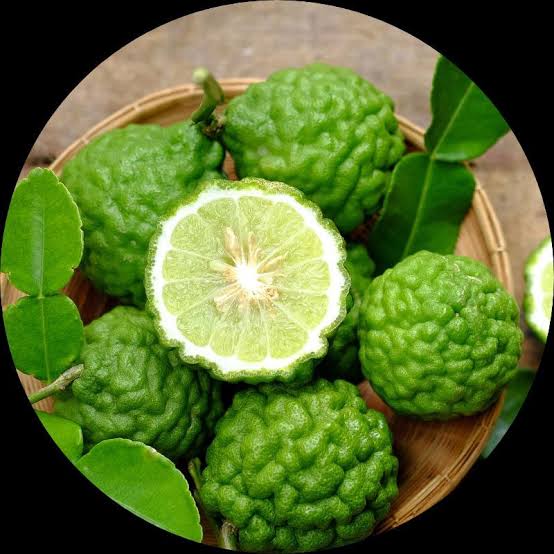 Kaffir Lime