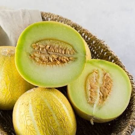 Melon