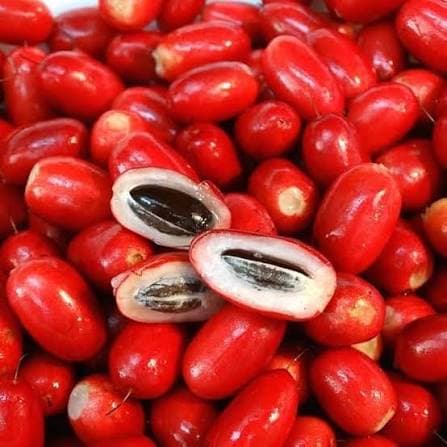 Miracle Fruit
