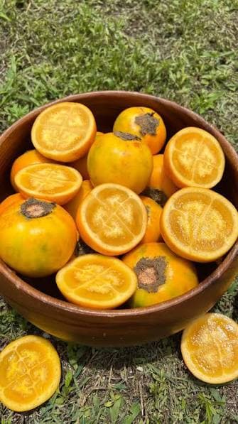 Naranjilla
