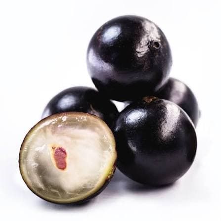 Jabuticaba
