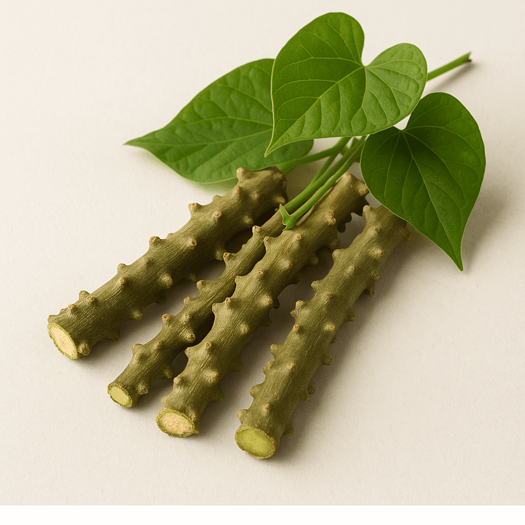 Giloy (Guduchi)