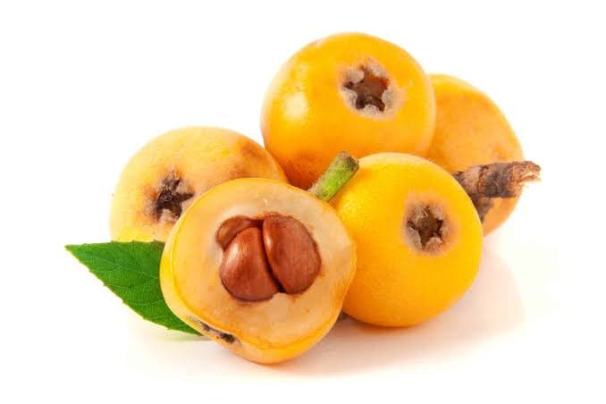 Loquat