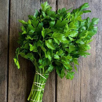 Parsley