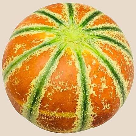 Muskmelon