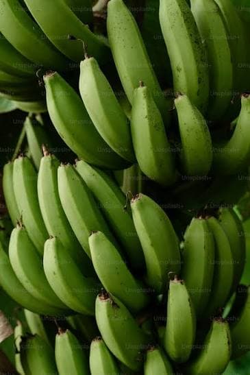 Plantain