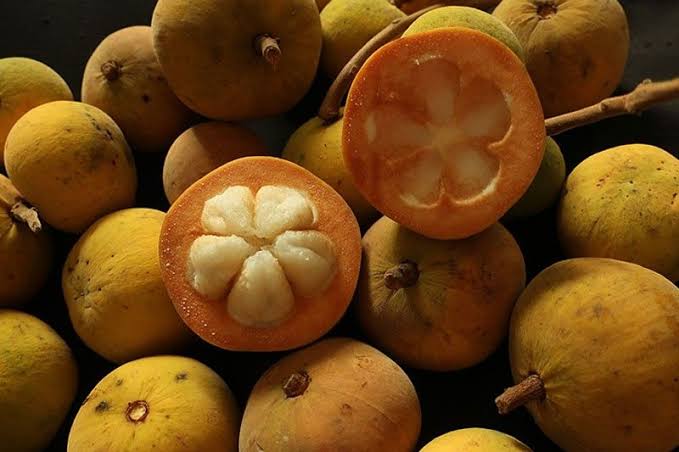 Santol