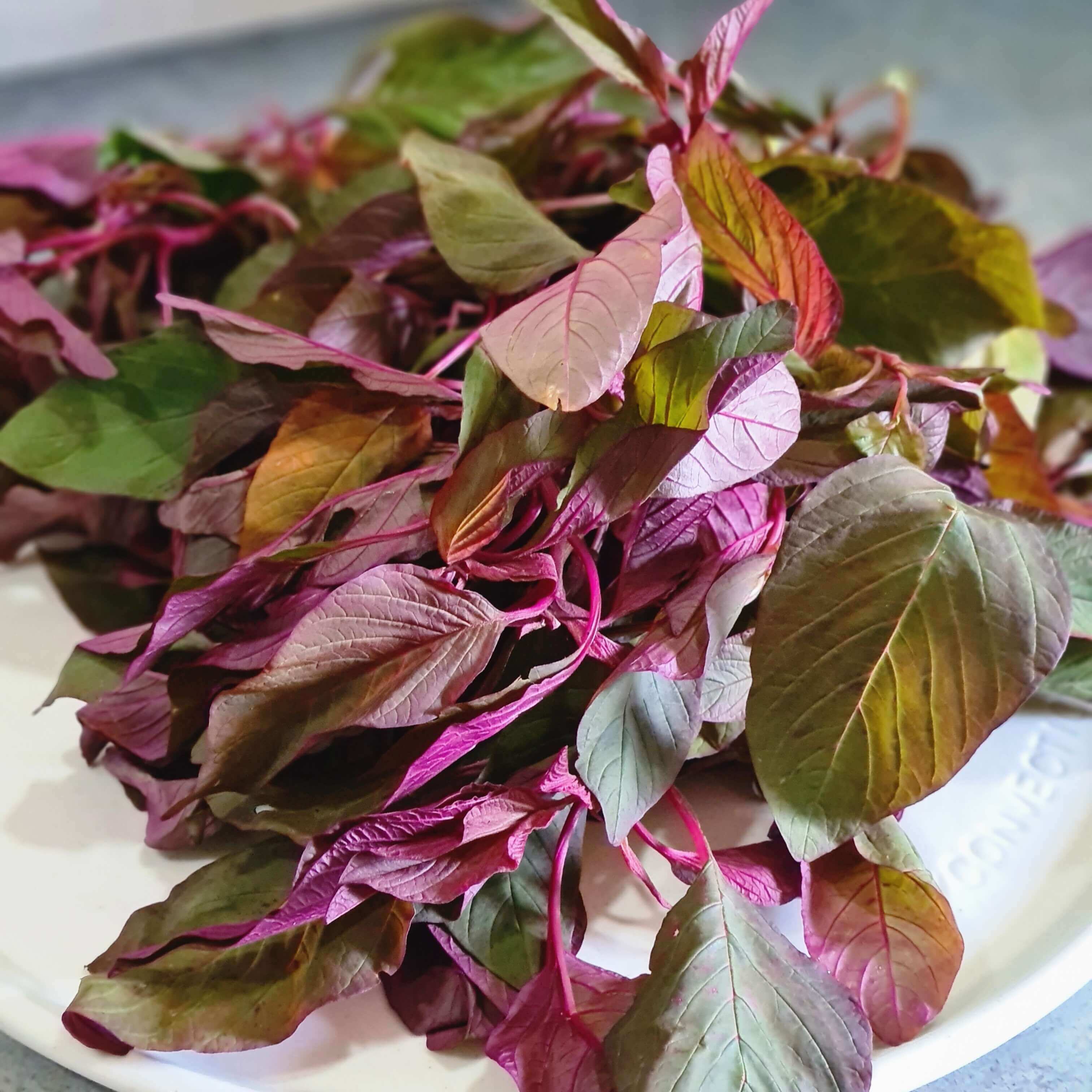 Amaranth leaves