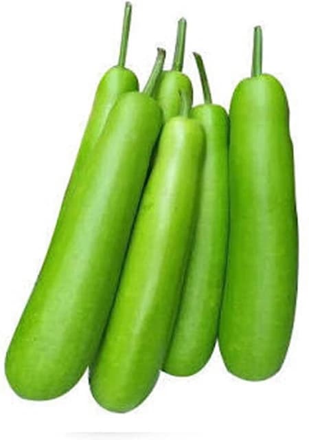 Bottle gourd