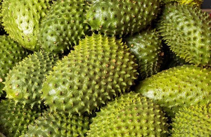 Soursop