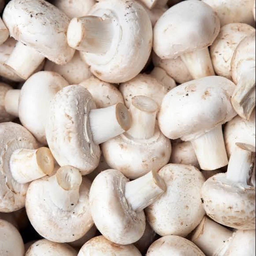 Button mushroom