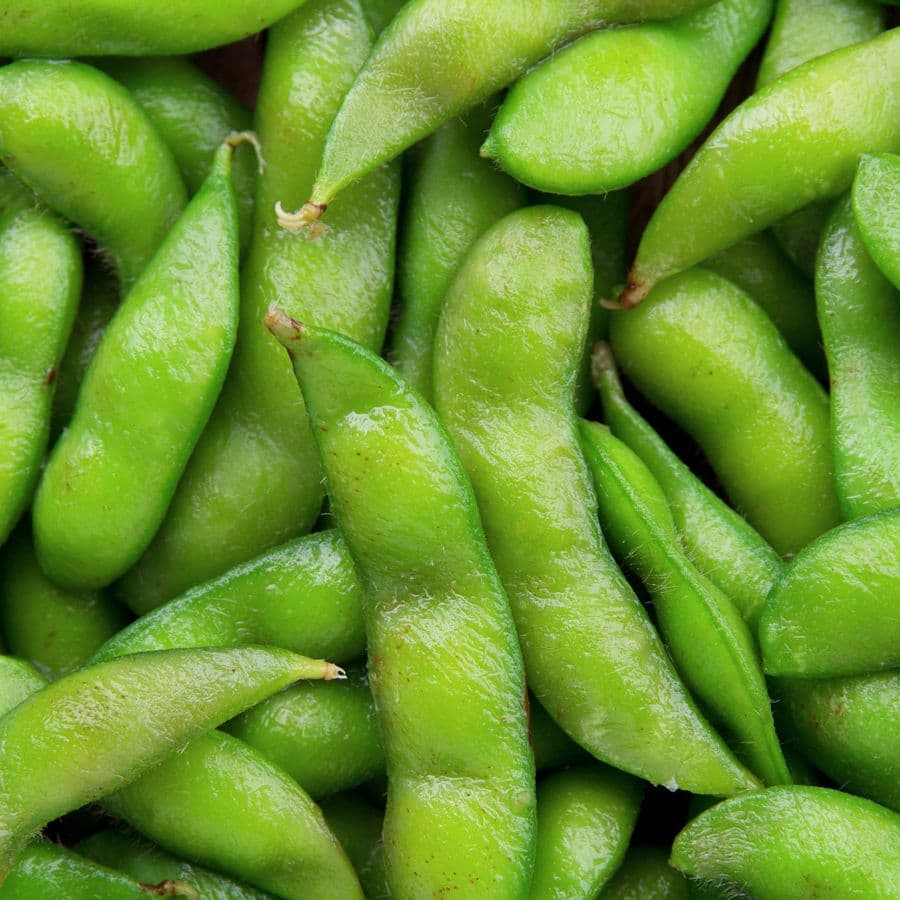 Edamame (young soybeans)