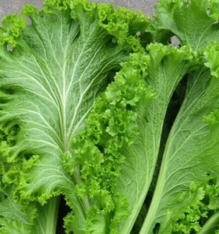 Mustard greens