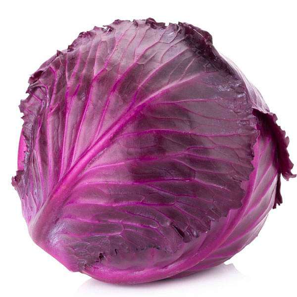 Red cabbage