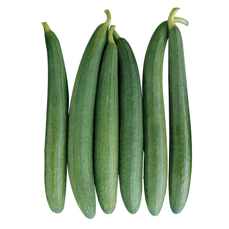 Sponge gourd