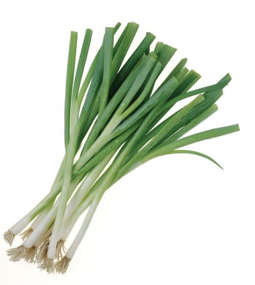 Spring onions (Scallions)