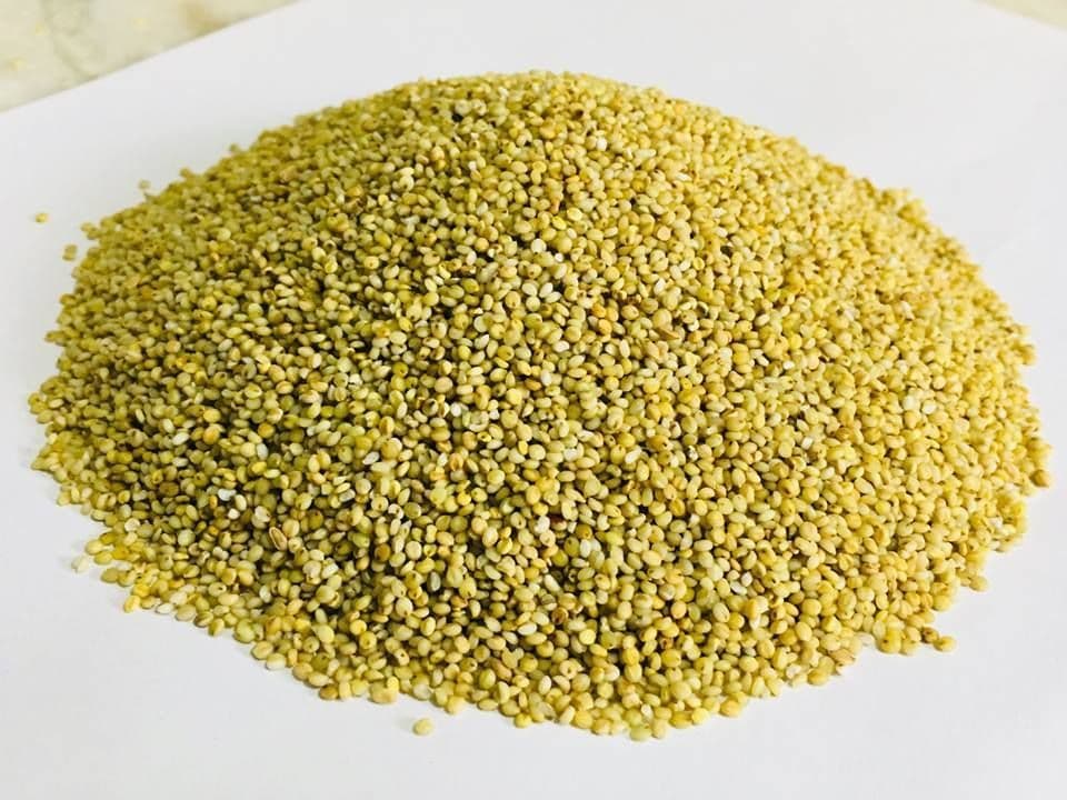 Browntop Millet (Korle)