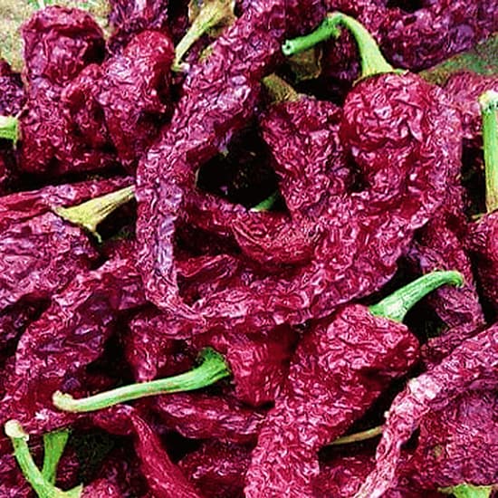 Byadgi Chilli