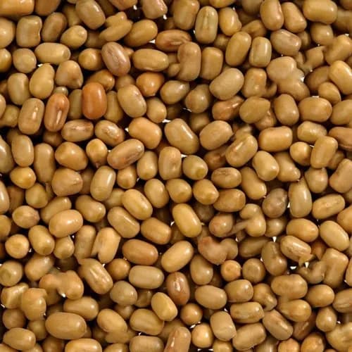 Moth Dal / Moth Beans
