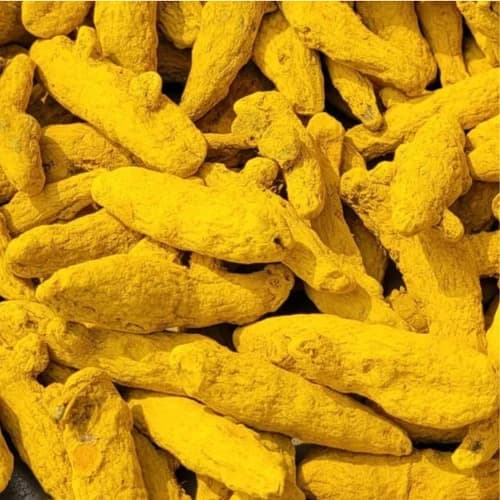Salem Turmeric