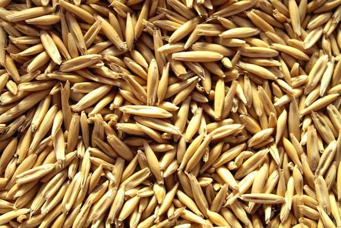 Whole Oat Groats